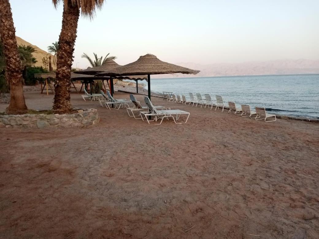 Tobya Boutique Hotel طابا المظهر الخارجي الصورة